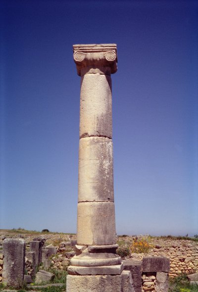 Ionische Säule am Decumanus Maximus von Roman